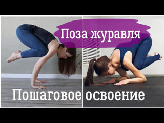 crane pose  bakasana step by step for beginners